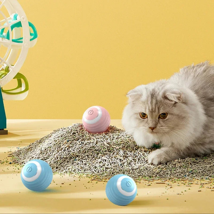 Spin Ball Cat Toy