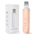 Xiaomi Youpin Ultrasonic Skin Scrubber